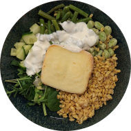 Green-Bowl mit Bohnen, Salat, Gurke, Zartweizen, Minz-Limetten-Joghurt-Dip und Grillkäse (19,81)